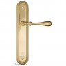 Дверная ручка на планке Fratelli Cattini RETRO PL288-OLV полированная латунь