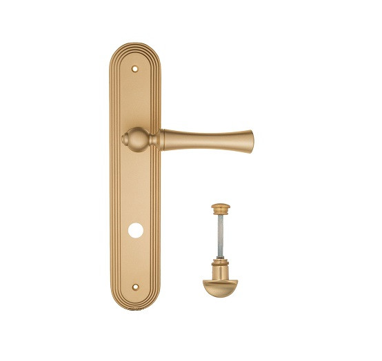 Дверная ручка на планке Fratelli Cattini FOGGIA WC-2 PL288-BS матовая латунь