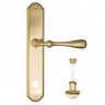 Дверная ручка на планке Fratelli Cattini RETRO WC-2 PL02-OLV полированная латунь