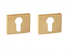 Накладка на цилиндр RENZ INET 01 SSG золото матовое сатинированное