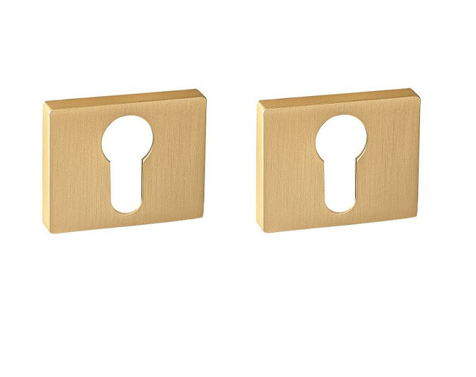 Накладка на цилиндр RENZ INET 01 SSG золото матовое сатинированное