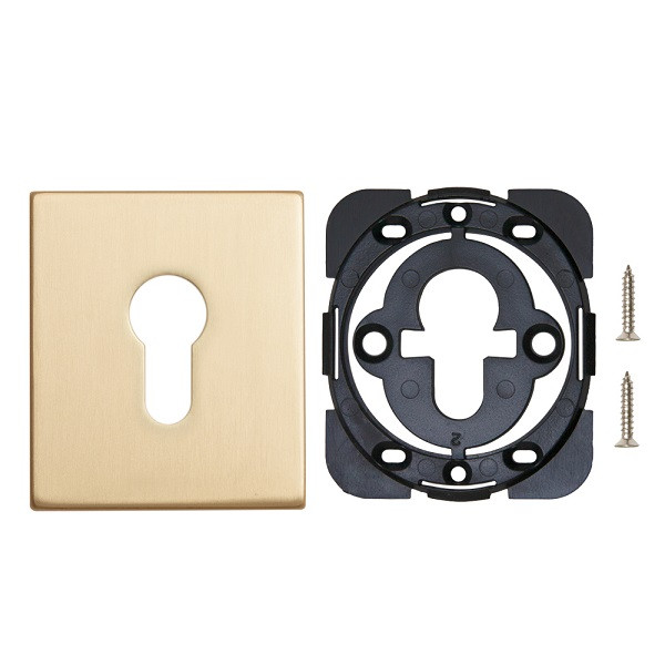 Накладка декоративная на цилиндр ARMADILLO ET Protector/USS FSG флорентийское золото