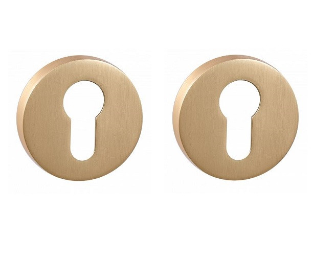Накладка на цилиндр RENZ INET 06 SSG золото матовое сатинированное