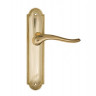Дверная ручка на планке Fratelli Cattini LAVERA PL248-OLV полированная латунь