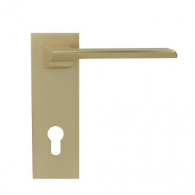 Дверная ручка на планке PORTA DI PARMA Italia 2206.07.CYL Матовое золото