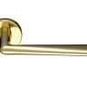 Ручка дверная MORELLI LUXURY THE FORCE R5 OTL золото