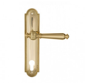 Дверная ручка на планке Fratelli Cattini MARANI CYL PL248-OLV полированная латунь