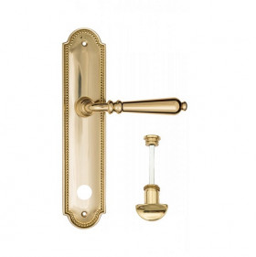 Дверная ручка на планке Fratelli Cattini NAPOLI WC-2 PL248-OLV полированная латунь
