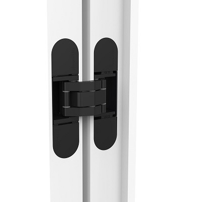 Петля скрытой установки ARMADILLO U3D6002.TG SG матовое золото