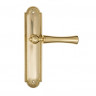 Дверная ручка на планке Fratelli Cattini FOGGIA PL248-OLV полированная латунь