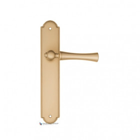 Дверная ручка на планке Fratelli Cattini FOGGIA PL257-BS матовая латунь