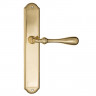 Дверная ручка на планке Fratelli Cattini RETRO PL02-OLV полированная латунь
