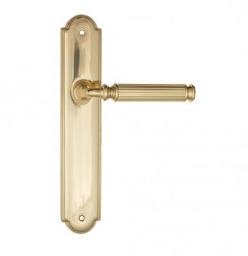 Дверная ручка на планке Fratelli Cattini ENCIA PL257-OLV полированная латунь