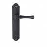 Дверная ручка на планке Fratelli Cattini FOGGIA PL257-NM матовый черный