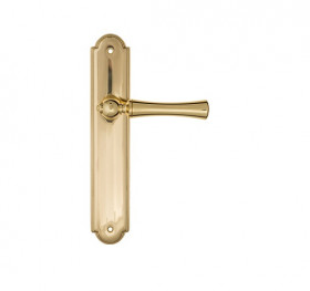 Дверная ручка на планке Fratelli Cattini FOGGIA PL257-OLV полированная латунь
