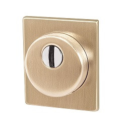 Броненакладка ARMADILLO DEF.USS/K.25 FSG флорентийское золото