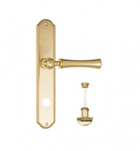 Дверная ручка на планке Fratelli Cattini FOGGIA WC-2 PL02-OLV полированная латунь